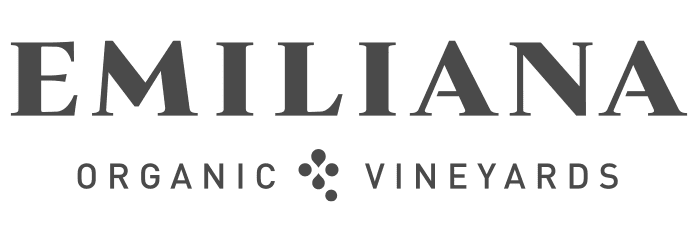 Wines of Chile Logo